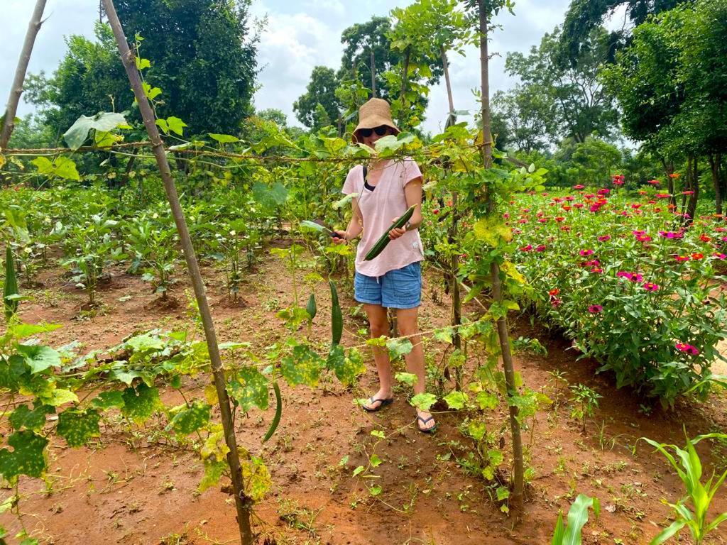 Moni Farm House Wilpattu Nochchiyagama Екстериор снимка