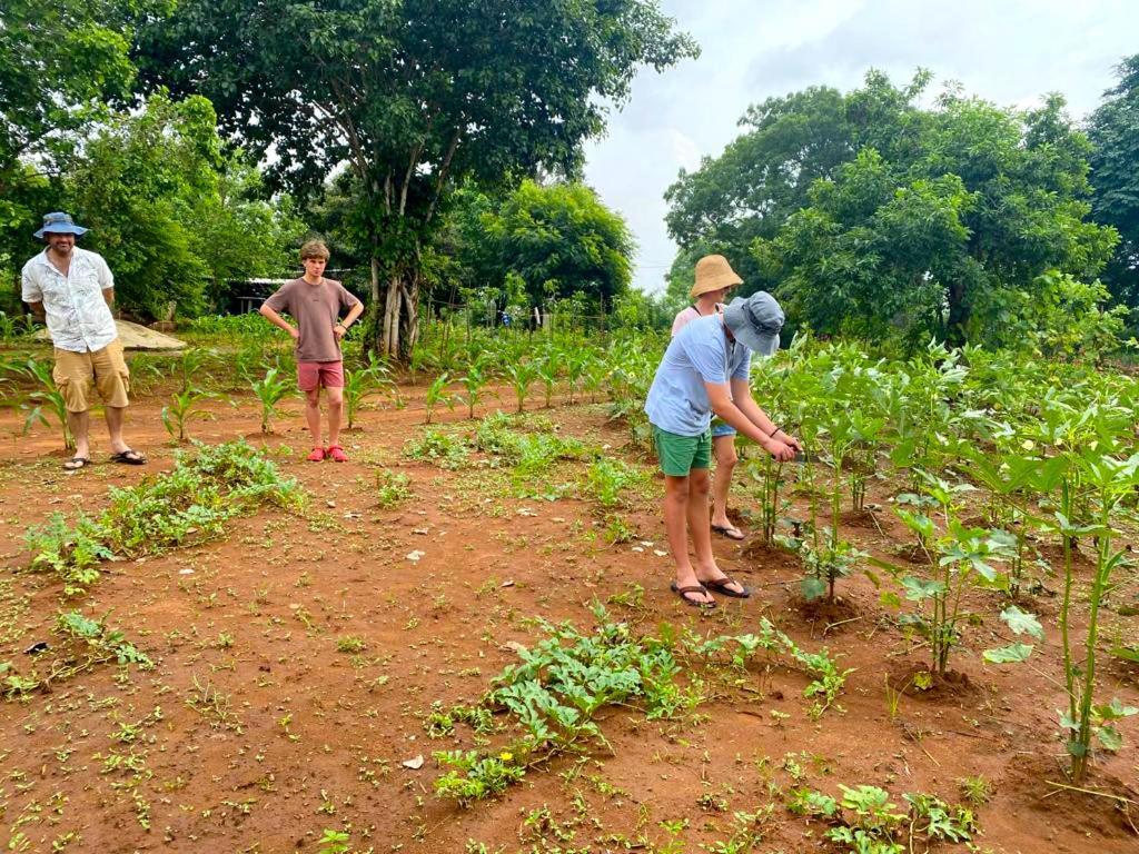 Moni Farm House Wilpattu Nochchiyagama Екстериор снимка