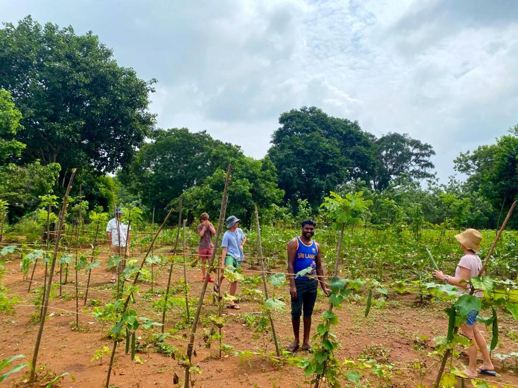 Moni Farm House Wilpattu Nochchiyagama Екстериор снимка