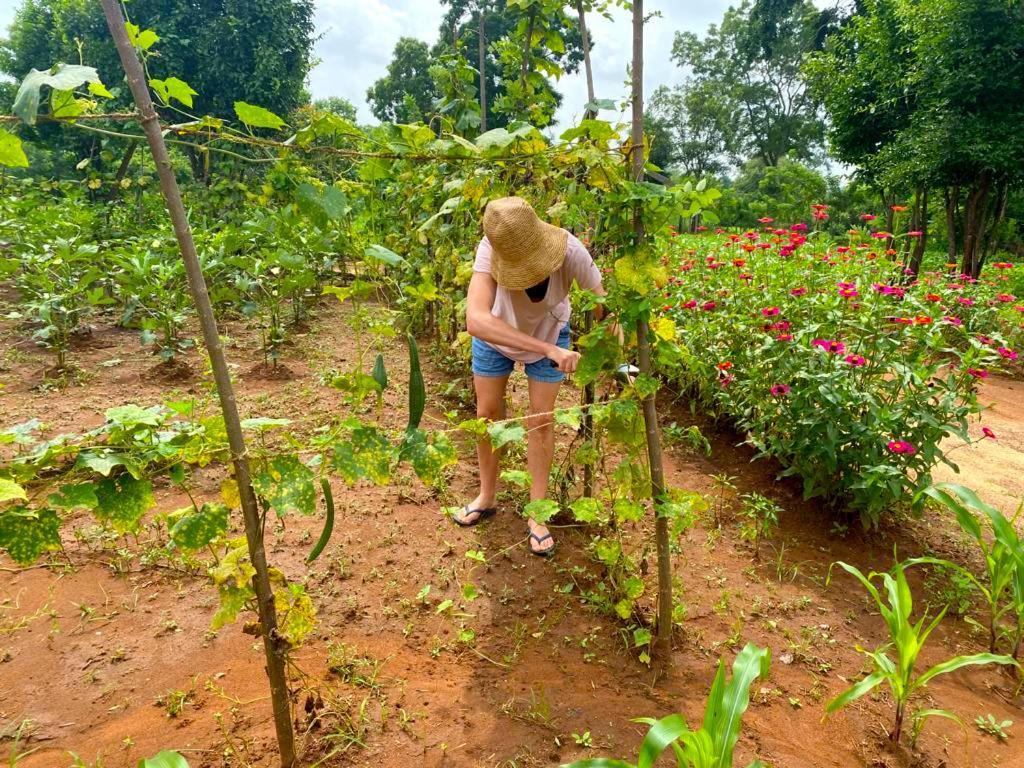 Moni Farm House Wilpattu Nochchiyagama Екстериор снимка