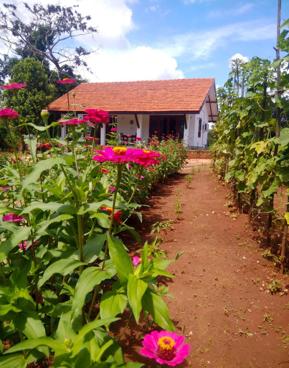Moni Farm House Wilpattu Nochchiyagama Екстериор снимка