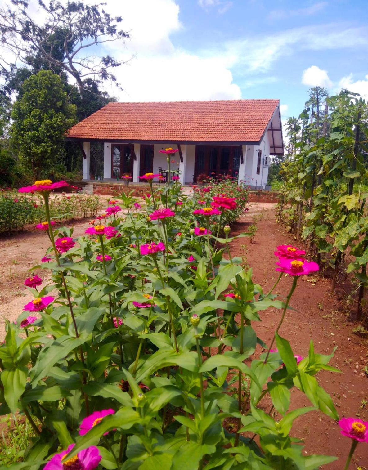 Moni Farm House Wilpattu Nochchiyagama Екстериор снимка