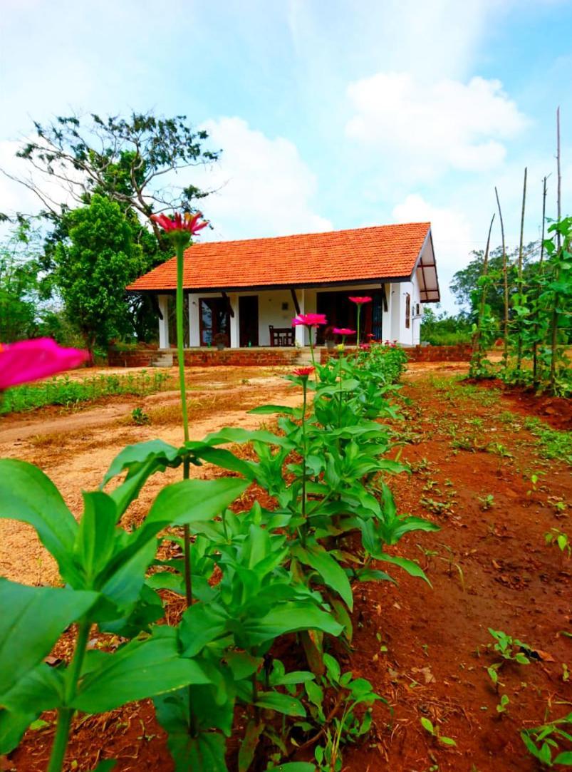 Moni Farm House Wilpattu Nochchiyagama Екстериор снимка