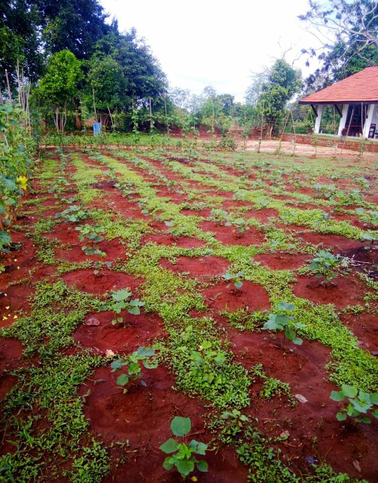Moni Farm House Wilpattu Nochchiyagama Екстериор снимка
