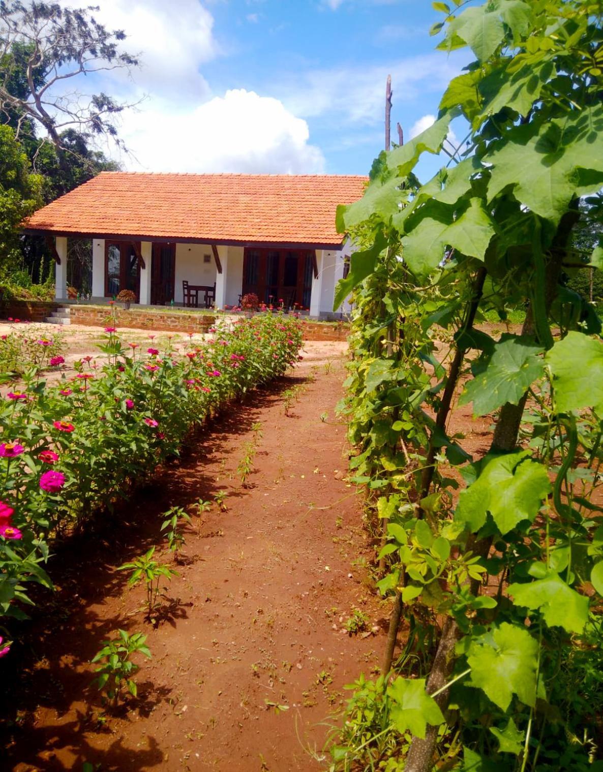 Moni Farm House Wilpattu Nochchiyagama Екстериор снимка