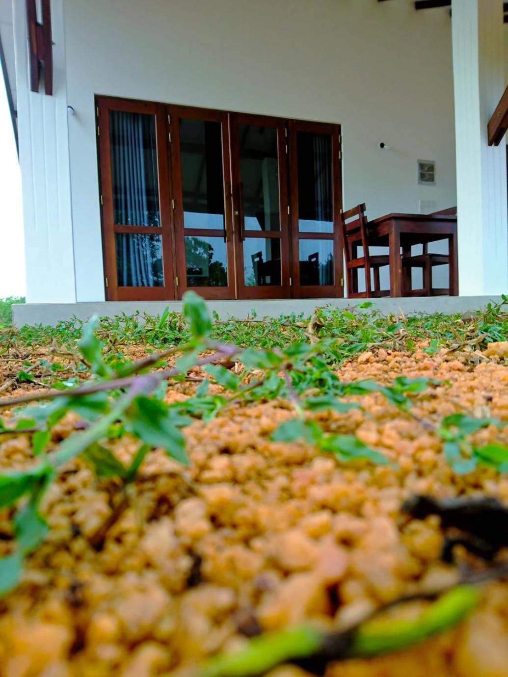 Moni Farm House Wilpattu Nochchiyagama Екстериор снимка